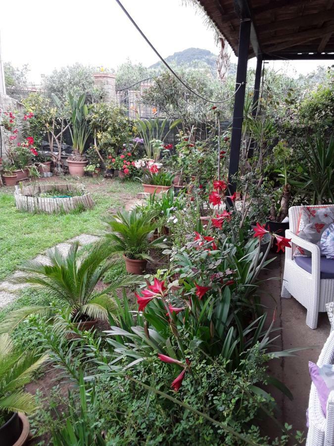Molly Apartment Santa Maria di Castellabate